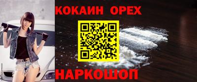 индика Кингисепп
