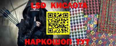 индика Кингисепп