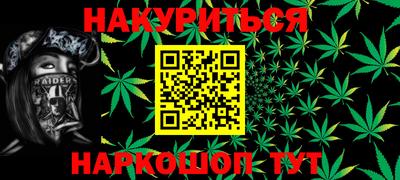 индика Кингисепп