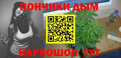 индика Кингисепп