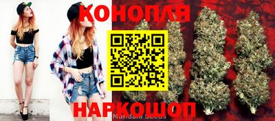 индика Кингисепп