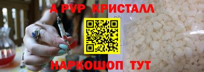 индика Кингисепп