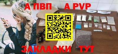 индика Кингисепп
