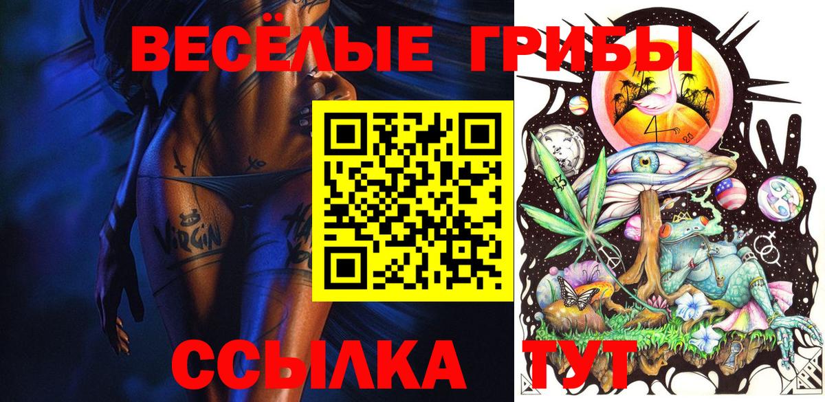 Псилоцибиновые грибы прущие грибы Кострома