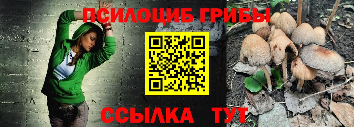 Кострома  Псилоцибиновые грибы мицелий  Вход с VPN 
